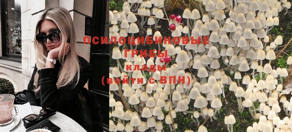 ГАЛЛЮЦИНОГЕННЫЕ ГРИБЫ Навашино