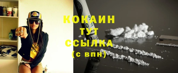 молекула духа Михайлов
