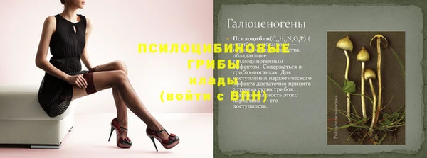 стаф Михайловск