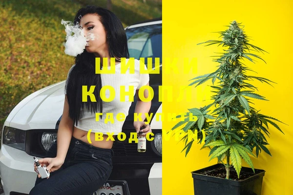молекула духа Михайлов