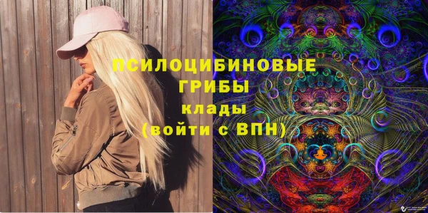 молекула духа Михайлов