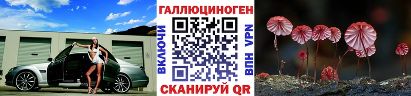Псилоцибиновые грибы GOLDEN TEACHER hydra ССЫЛКА Новоаннинский